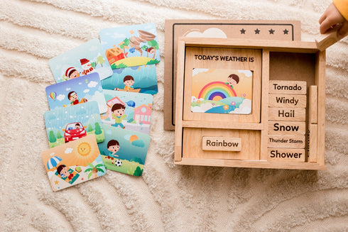 QTOYS - Weather Play Set